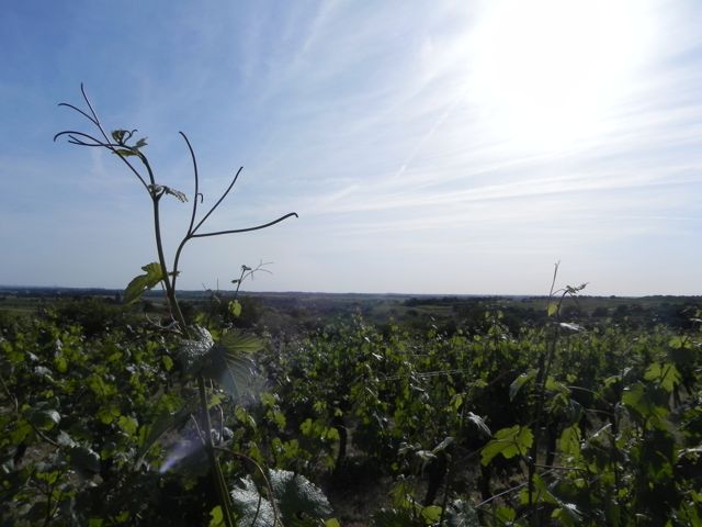 c0188527_223850.jpg