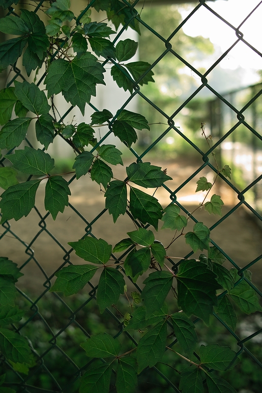 c0198227_23364951.jpg