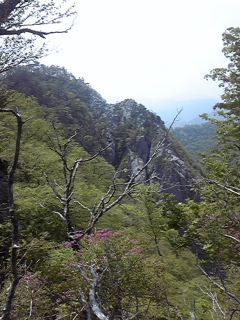 a0126128_2134254.jpg