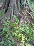 e0029132_16115816.jpg