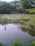 e0029132_16115832.jpg