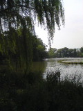e0029132_16115856.jpg