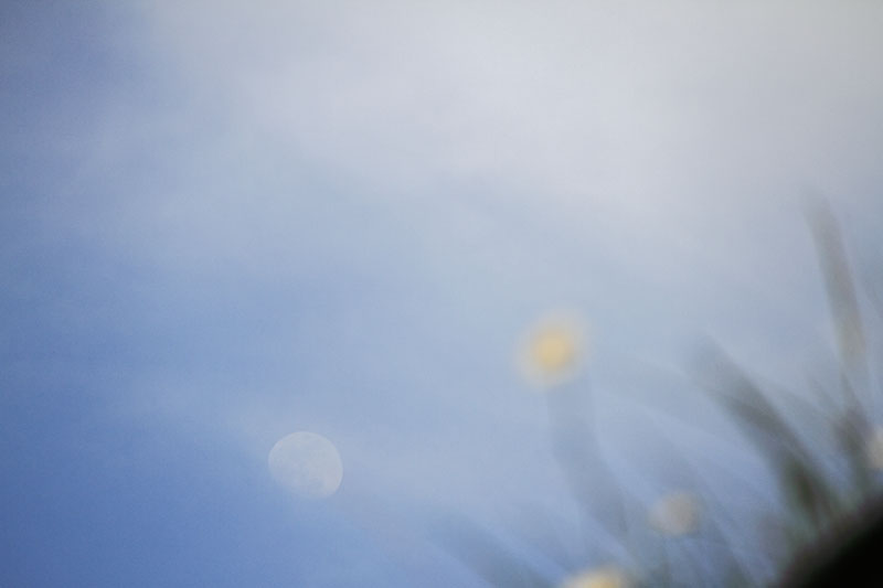 b0042837_2292462.jpg