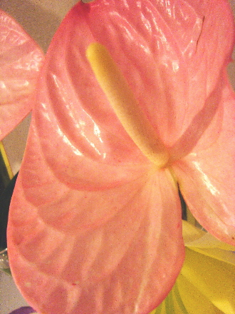 c0155539_19235054.jpg