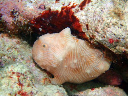 f0014842_2338348.jpg