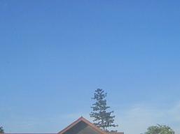 a0087146_9333280.jpg