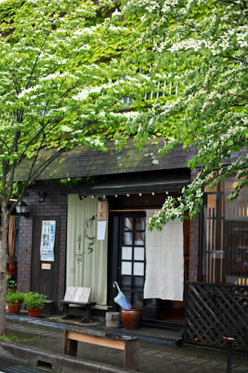 d0008146_325325.jpg
