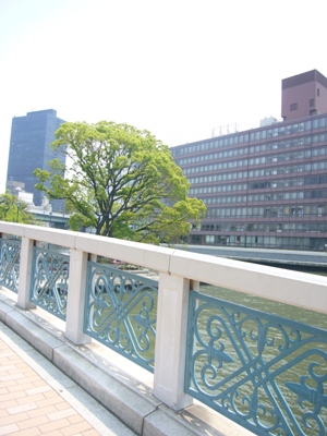 e0100046_2243089.jpg