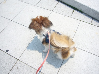 e0100046_22432456.jpg