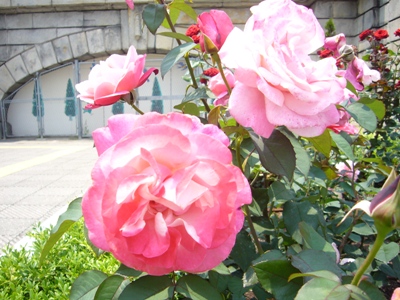 e0100046_2245561.jpg
