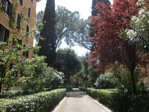 c0206352_212496.jpg
