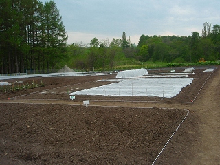 e0004756_20204584.jpg
