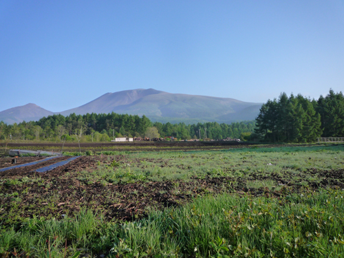 b0045357_8243589.jpg