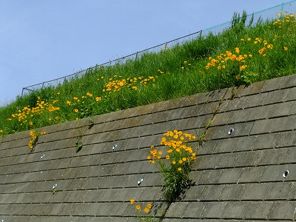 c0097558_11151637.jpg