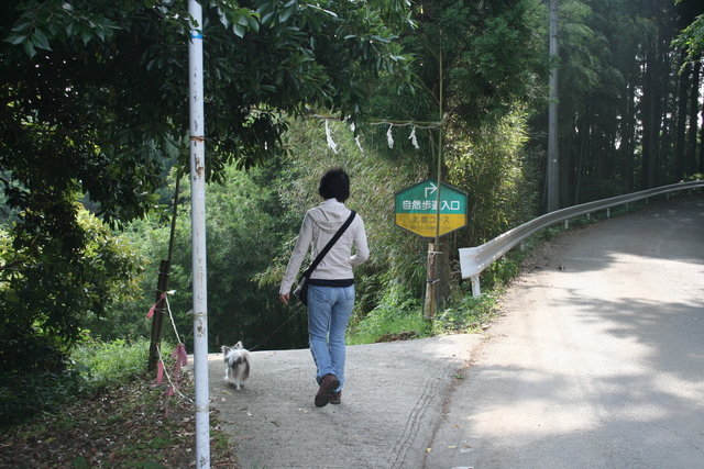 b0137459_22115899.jpg