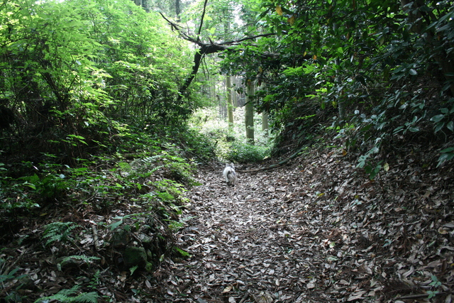 b0137459_22135543.jpg