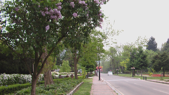 b0208961_22414933.jpg