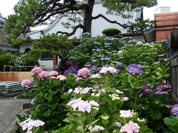 c0042869_1835958.jpg