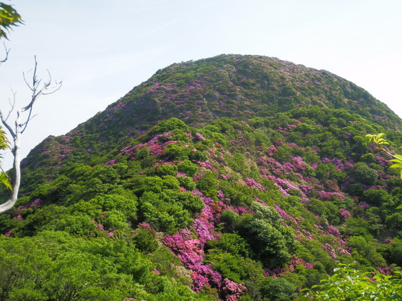 c0042869_19113072.jpg