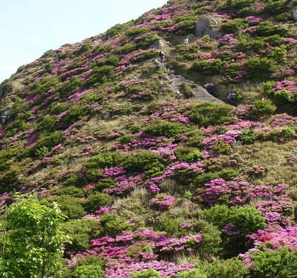 c0042869_19122895.jpg