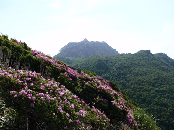 c0042869_19144334.jpg