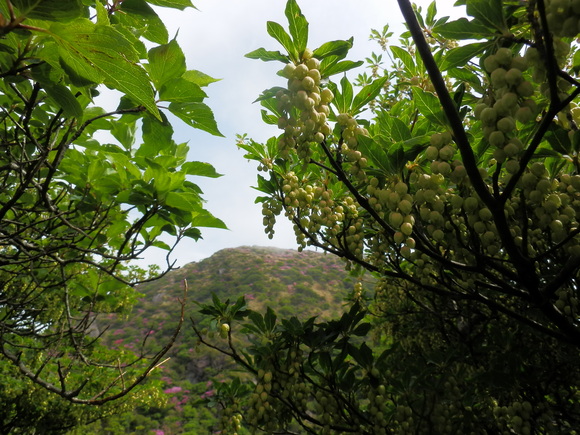 c0042869_19173999.jpg