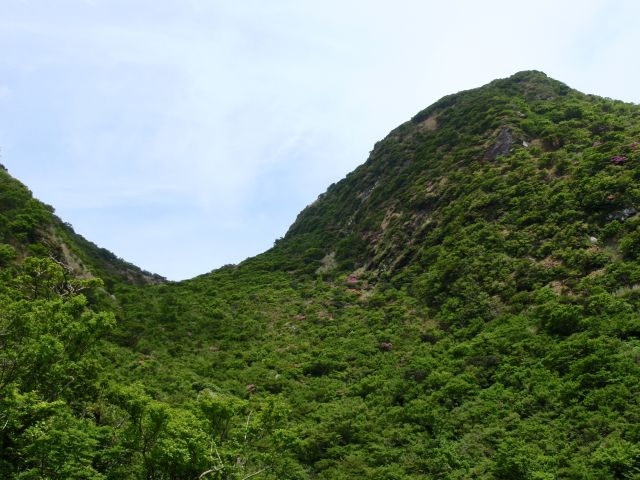 c0042869_19175216.jpg