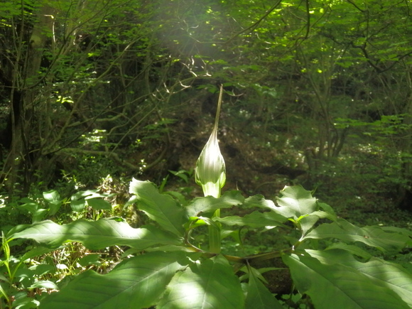 c0042869_19203711.jpg