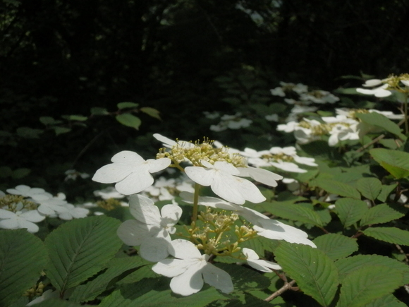 c0042869_19205679.jpg