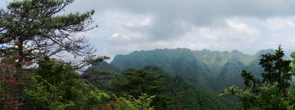 f0054075_23555052.jpg