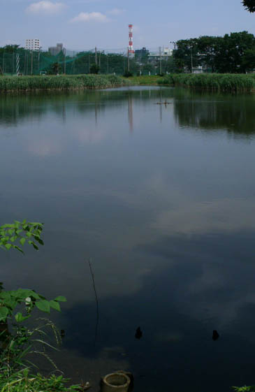 e0112077_12354079.jpg