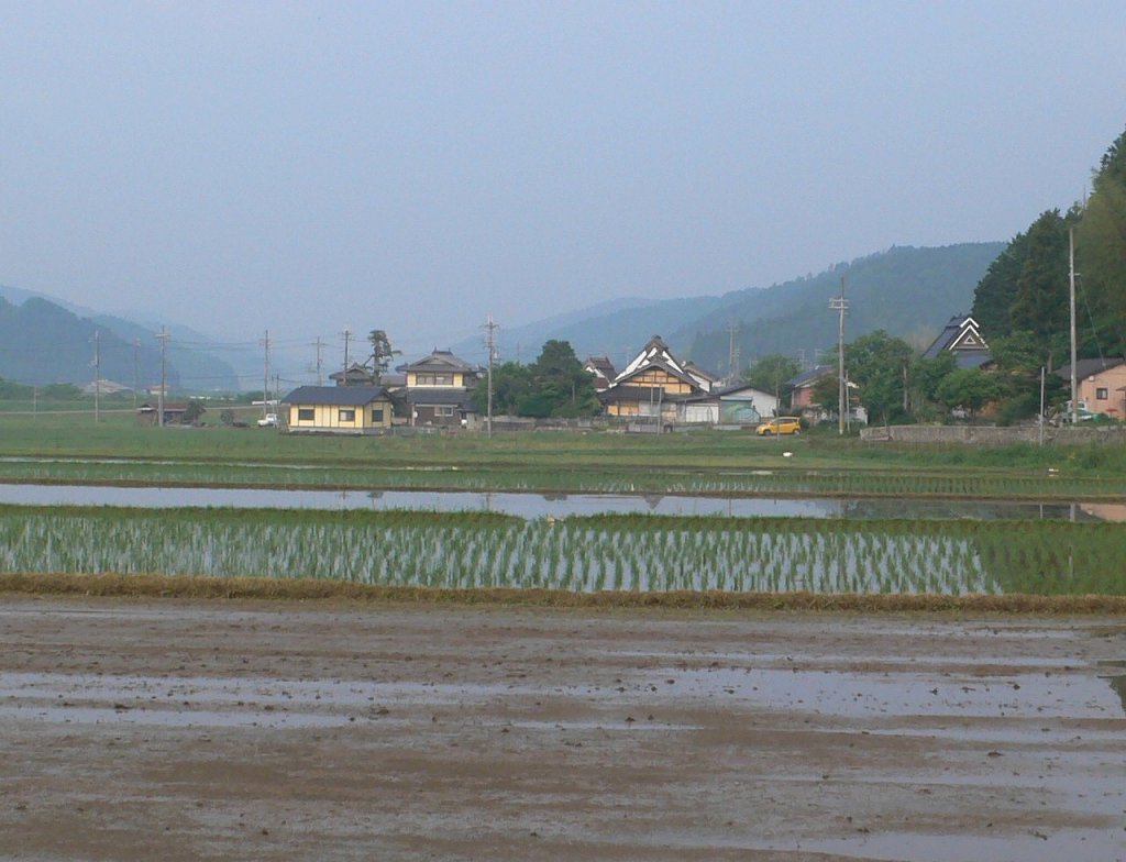b0042882_2155469.jpg