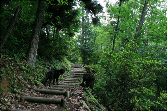 c0171790_18314195.gif