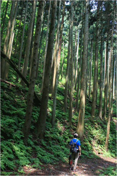 c0171790_2325462.gif