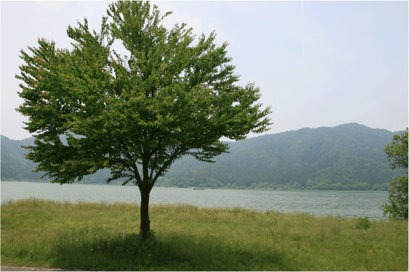 c0171790_23264486.gif