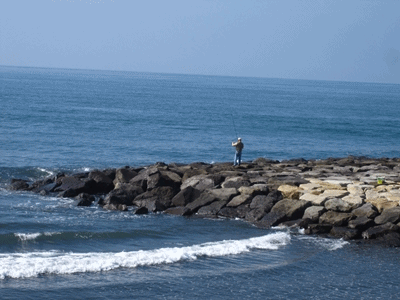 e0143690_1514258.gif