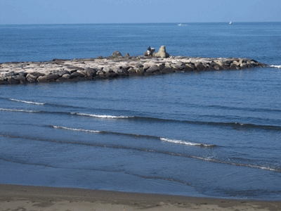 e0143690_1514782.gif