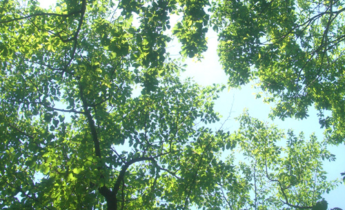 b0099994_5243874.jpg