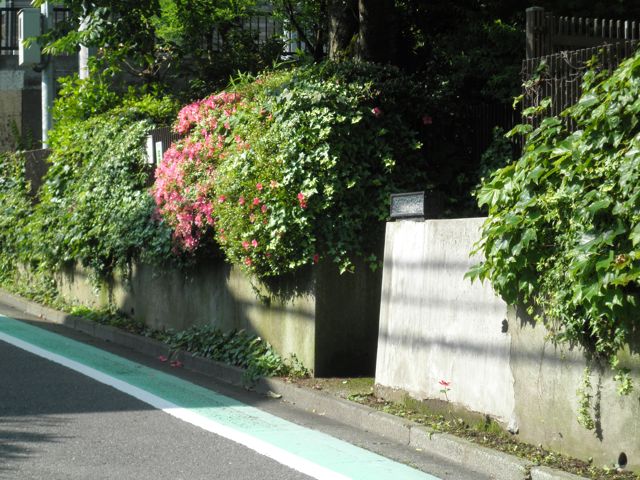 f0130894_22324894.jpg