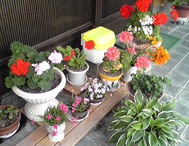 c0074000_21211048.jpg