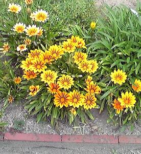 c0074000_21223354.jpg