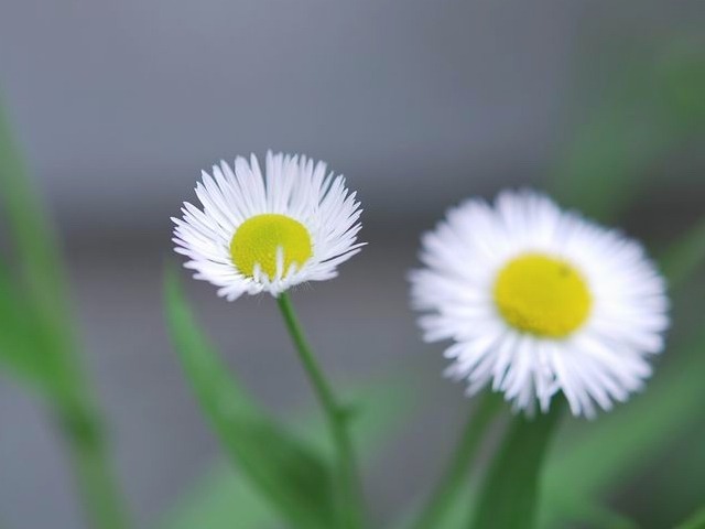 e0025300_1781351.jpg