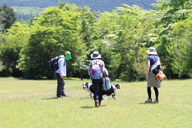 f0034602_22182635.jpg