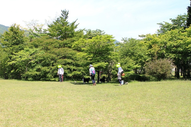 f0034602_22201016.jpg