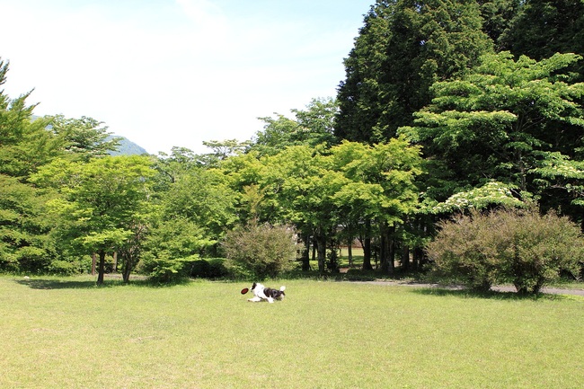 f0034602_22205310.jpg