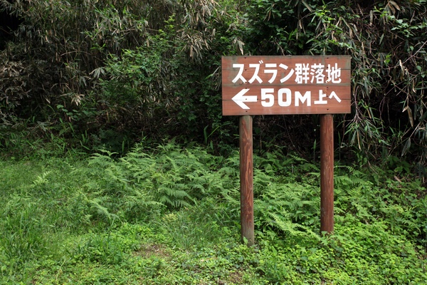 c0043403_22532260.jpg