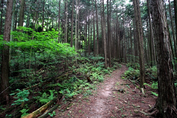 c0043403_22544187.jpg