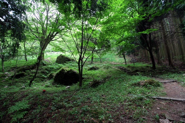 c0043403_22562887.jpg