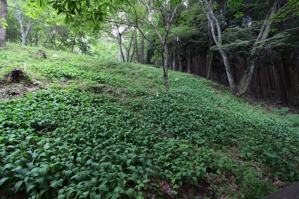 c0043403_22565647.jpg