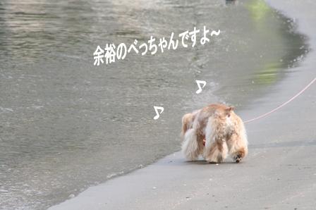 c0128303_17525151.jpg